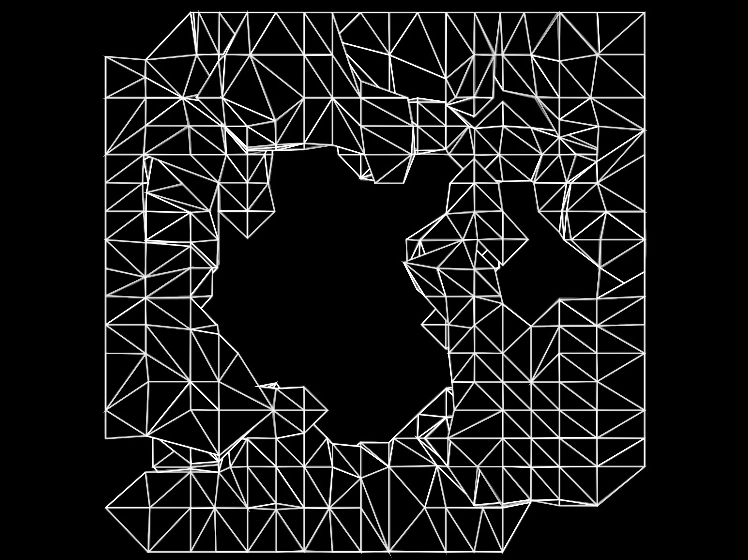 Top view of a an organic mesh within a square