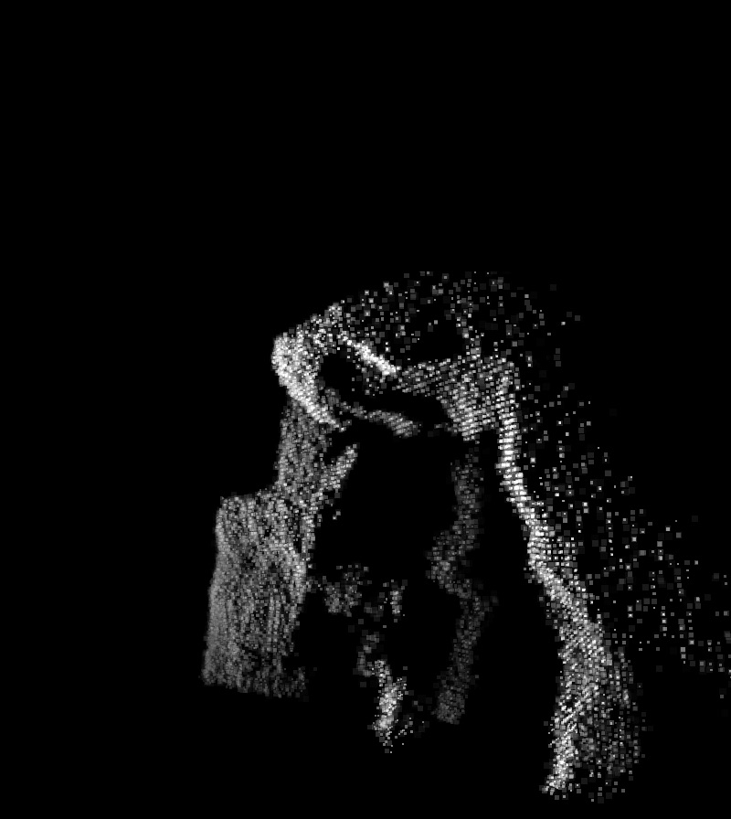 Pointcloud of a organic sculpture