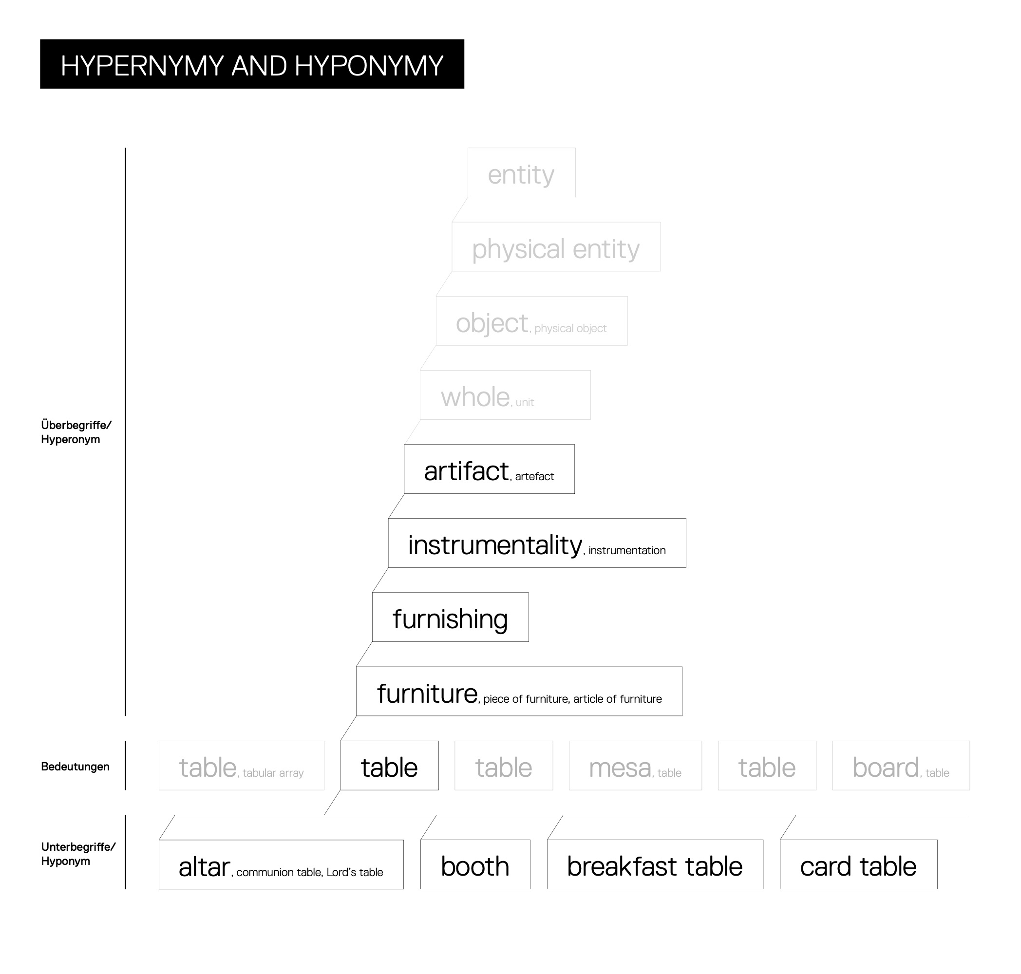 A visual hierachy of hypernymy and hyponymy